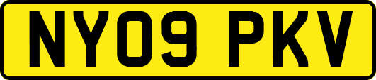 NY09PKV