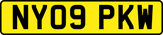 NY09PKW