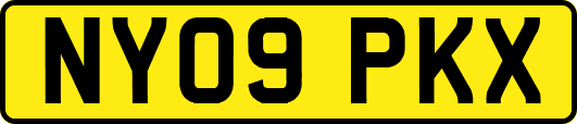 NY09PKX