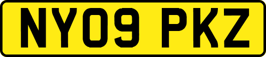 NY09PKZ
