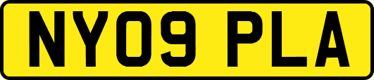 NY09PLA