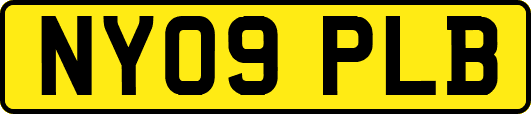 NY09PLB