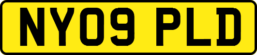 NY09PLD