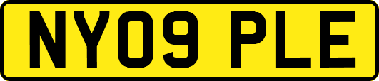 NY09PLE