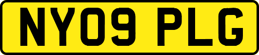 NY09PLG