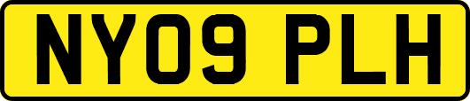 NY09PLH