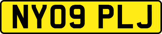 NY09PLJ