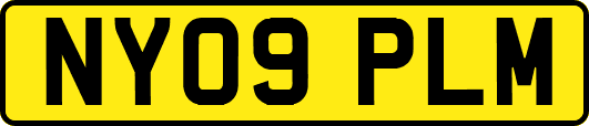 NY09PLM