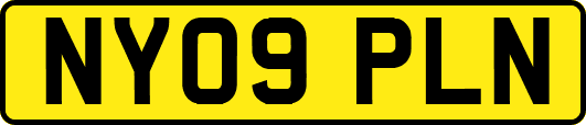NY09PLN