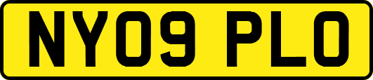 NY09PLO