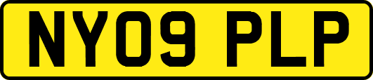 NY09PLP