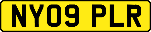 NY09PLR