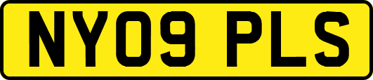 NY09PLS