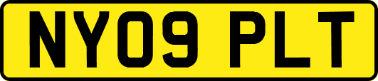 NY09PLT