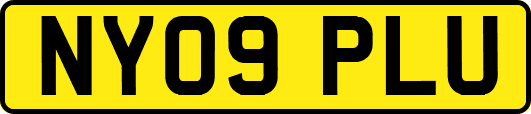 NY09PLU