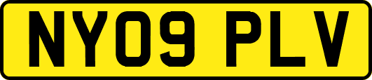 NY09PLV