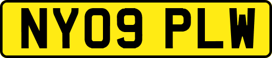 NY09PLW
