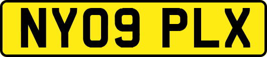 NY09PLX