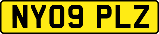 NY09PLZ
