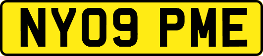 NY09PME
