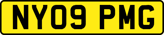NY09PMG