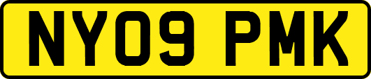 NY09PMK