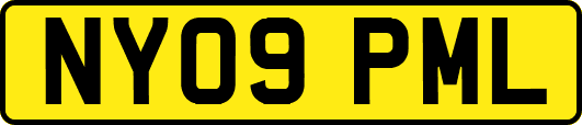 NY09PML
