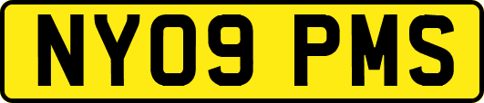NY09PMS