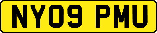 NY09PMU