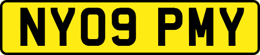 NY09PMY