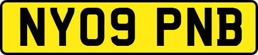 NY09PNB