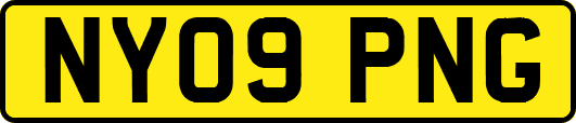 NY09PNG