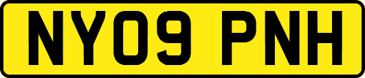 NY09PNH