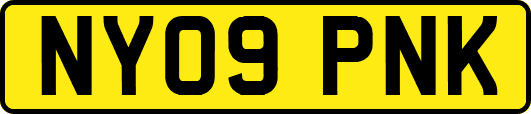 NY09PNK