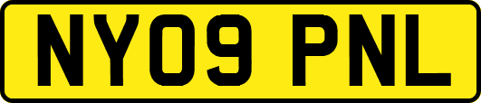 NY09PNL