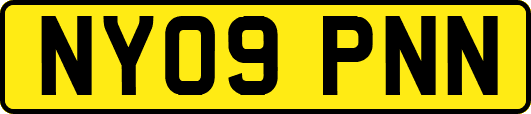 NY09PNN