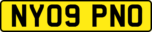 NY09PNO