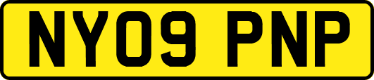 NY09PNP