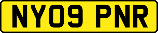 NY09PNR