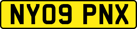 NY09PNX
