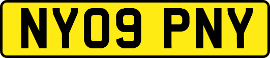 NY09PNY