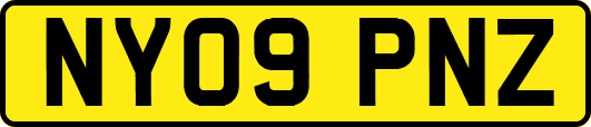 NY09PNZ