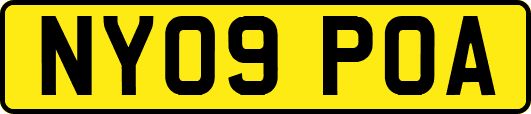 NY09POA