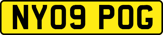 NY09POG