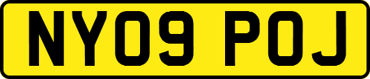 NY09POJ