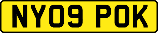 NY09POK