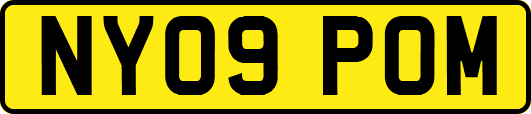 NY09POM