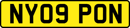 NY09PON