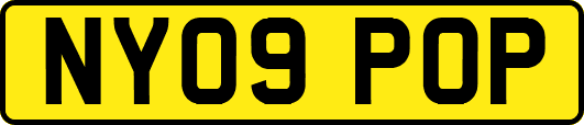 NY09POP