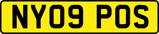 NY09POS